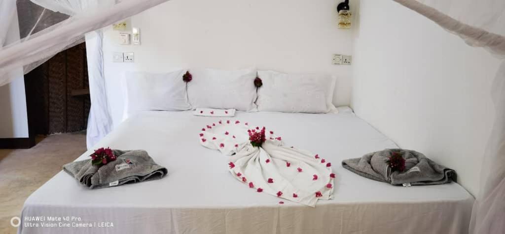 Wow Beach House Jambiani  Extérieur photo