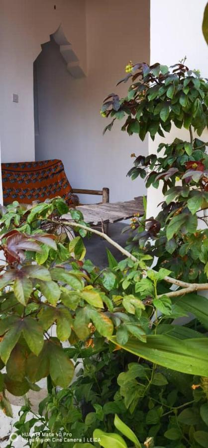 Wow Beach House Jambiani  Extérieur photo