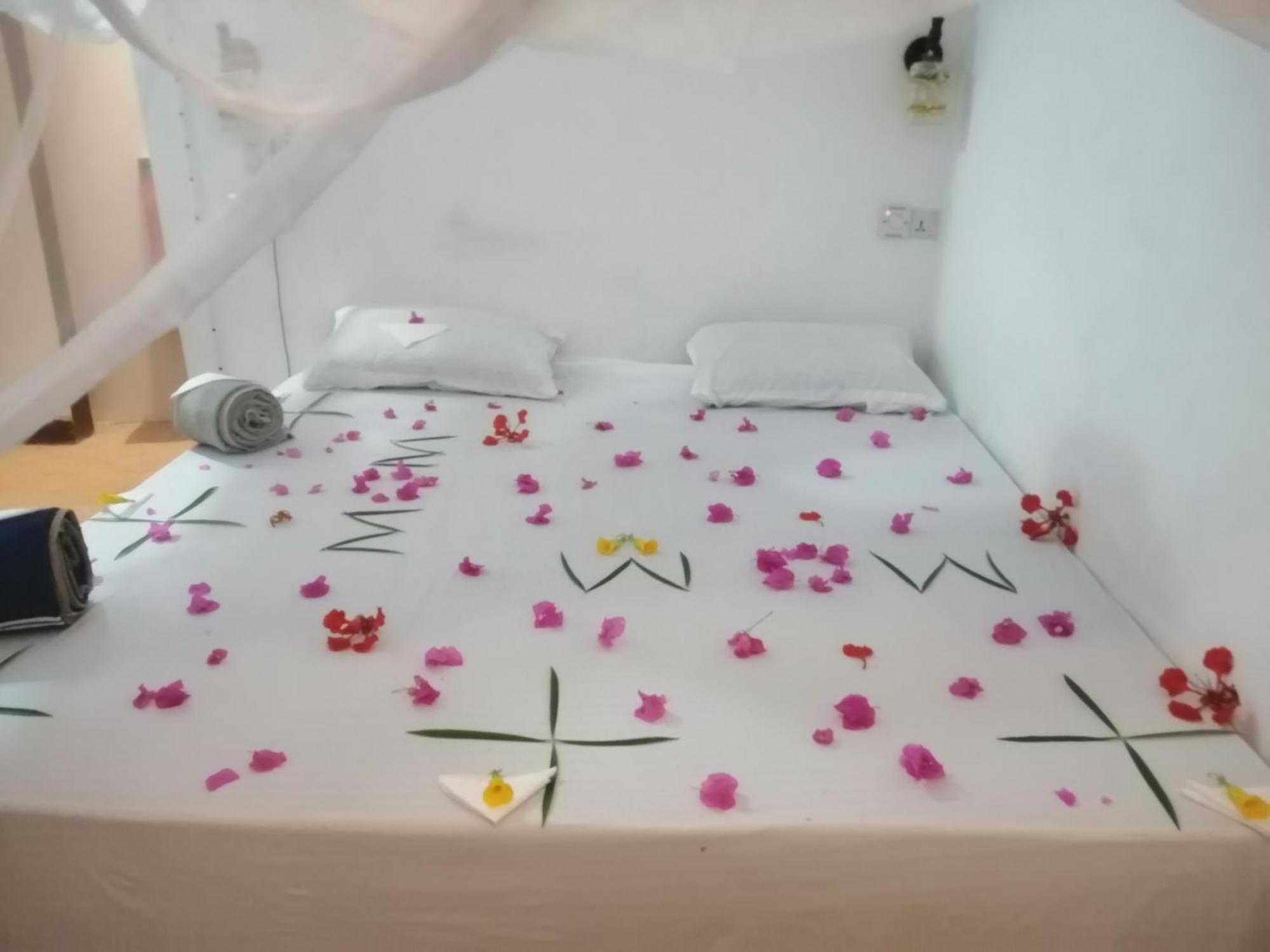 Wow Beach House Jambiani  Extérieur photo